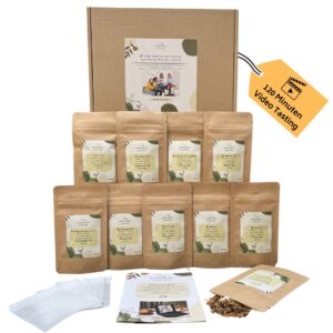 VIDEO Tee Tasting 🫖 Tee-Geschenkbox Tee-Verkostung mit Tea Taster + 120 Min